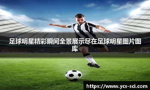 足球明星精彩瞬间全景展示尽在足球明星图片图库
