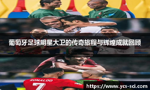 葡萄牙足球明星大卫的传奇旅程与辉煌成就回顾
