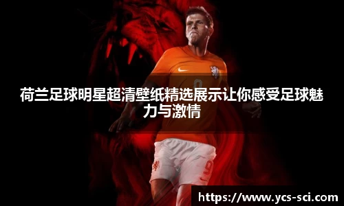 荷兰足球明星超清壁纸精选展示让你感受足球魅力与激情